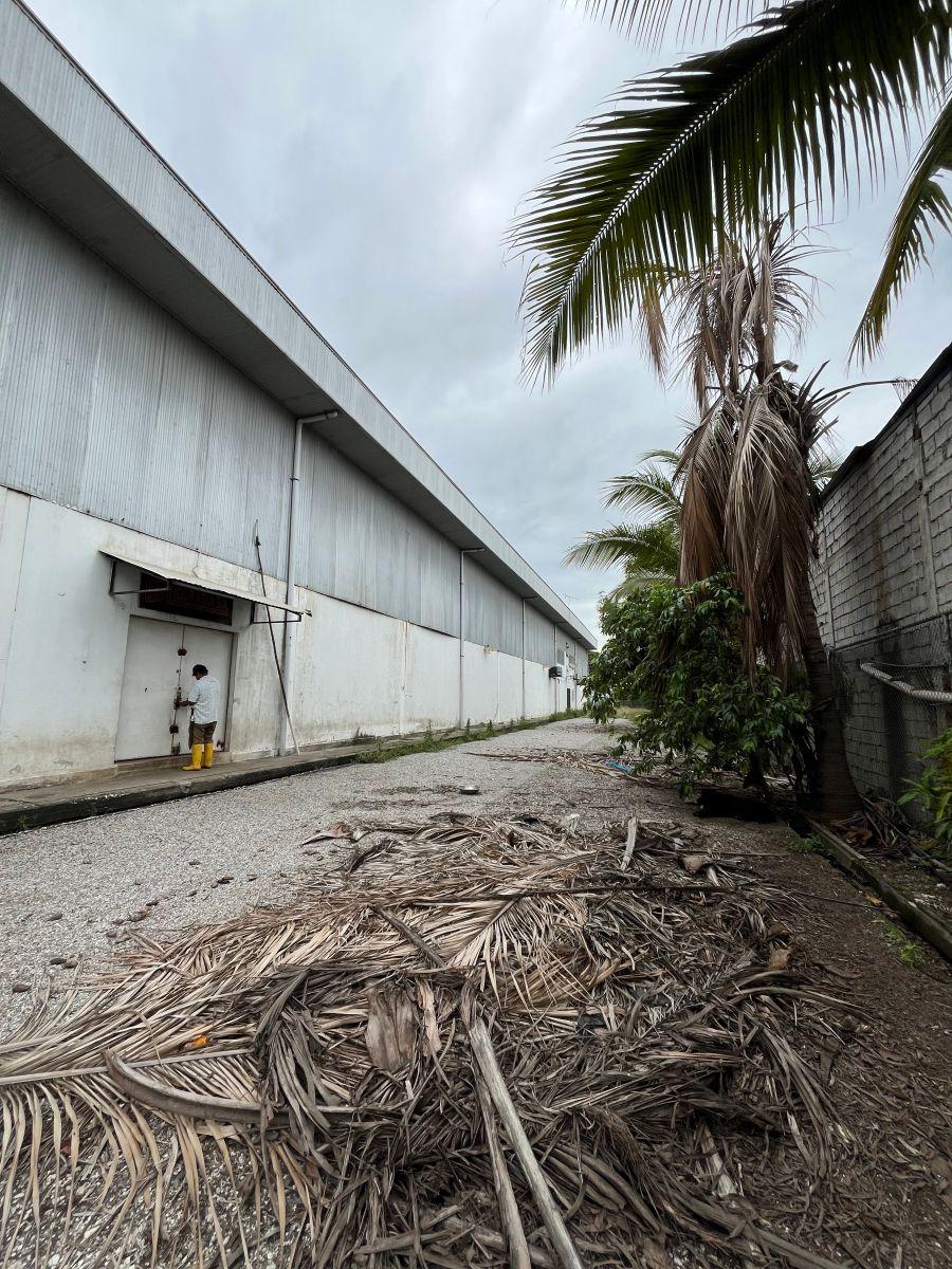 Terreno Km 24 Vía a La Costa Chongon Rellenado y Compactado, Guayas — imagen 9
