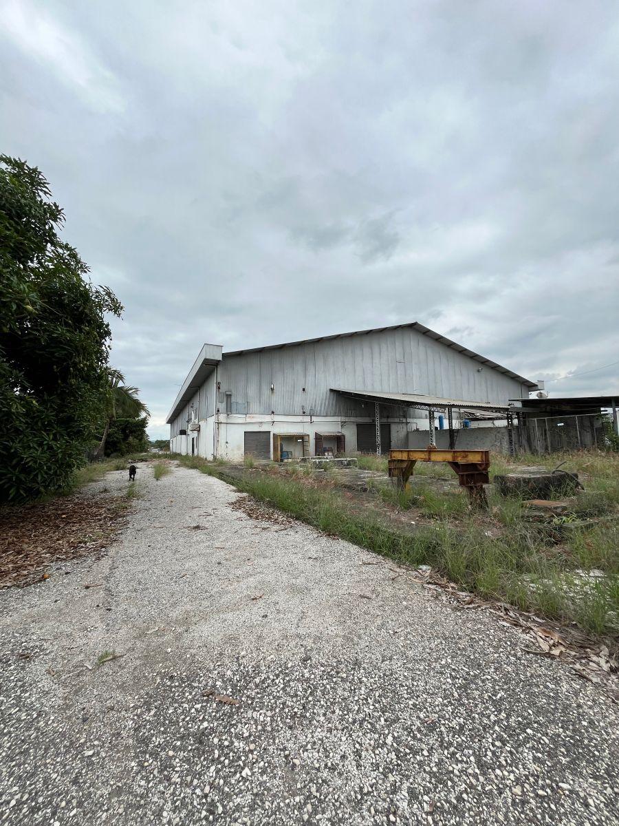 Terreno Km 24 Vía a La Costa Chongon Rellenado y Compactado, Guayas — imagen 5