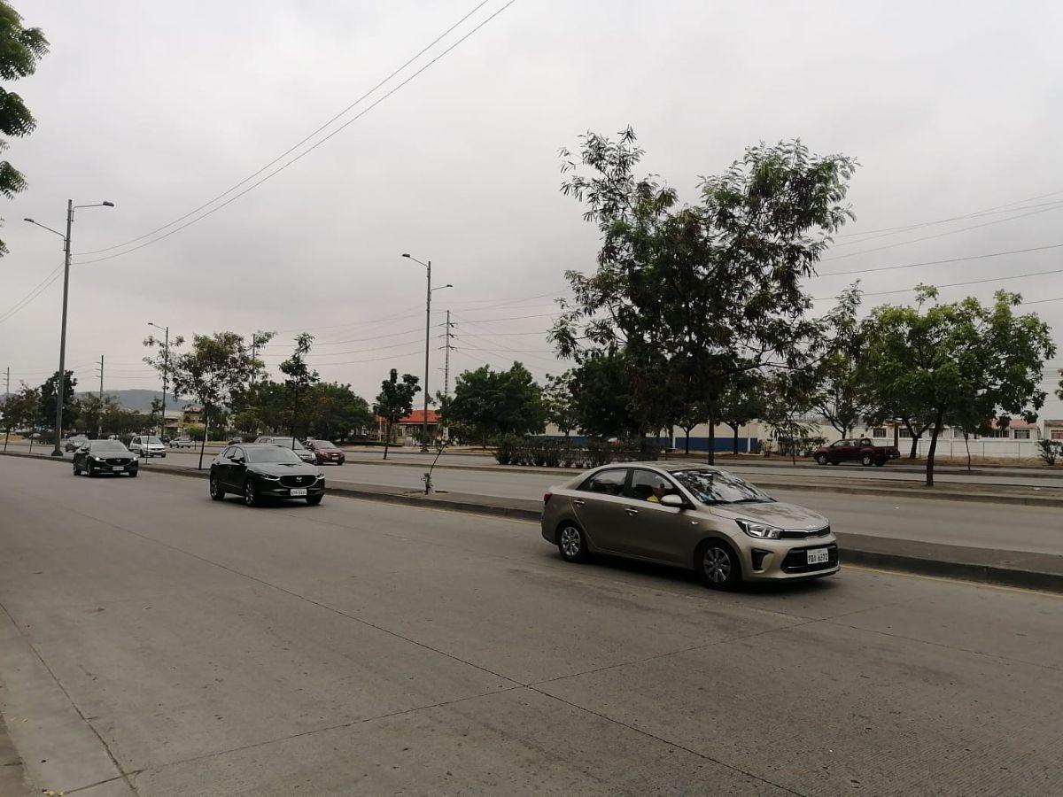 De Oportunidad Terreno de 80 Hectáreas en Ambato, Tungurahua — imagen 5