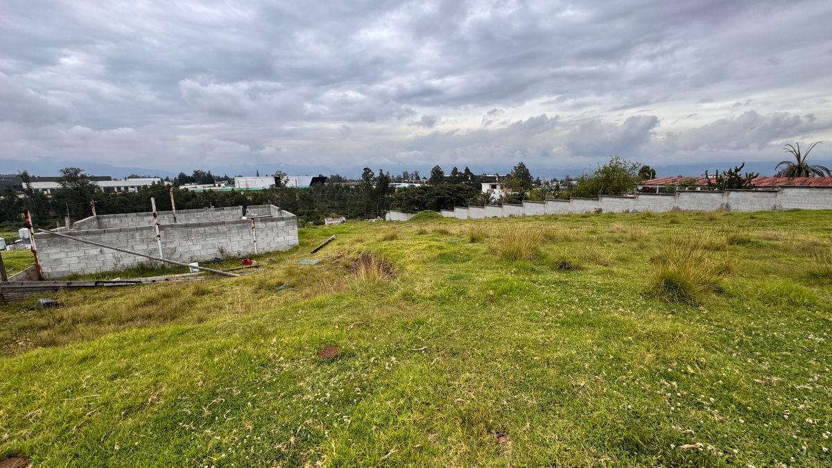 Venta Terreno 5000 m² Tababela, Oyambarillo — imagen 9