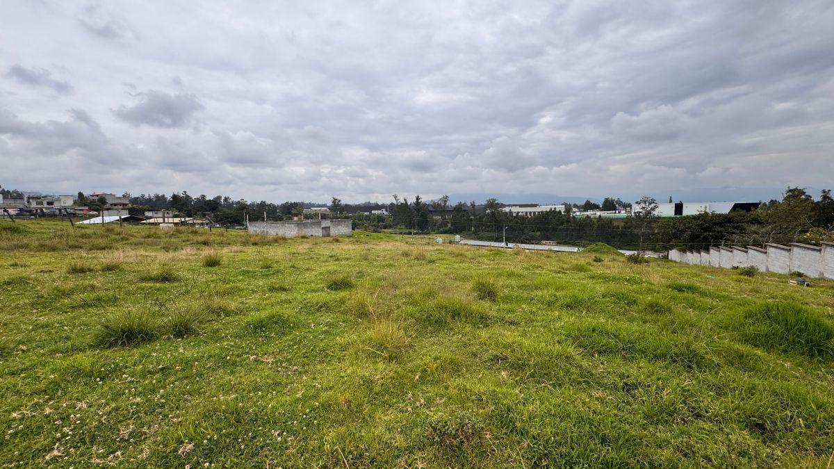 Venta Terreno 5000 m² Tababela, Oyambarillo — imagen 8