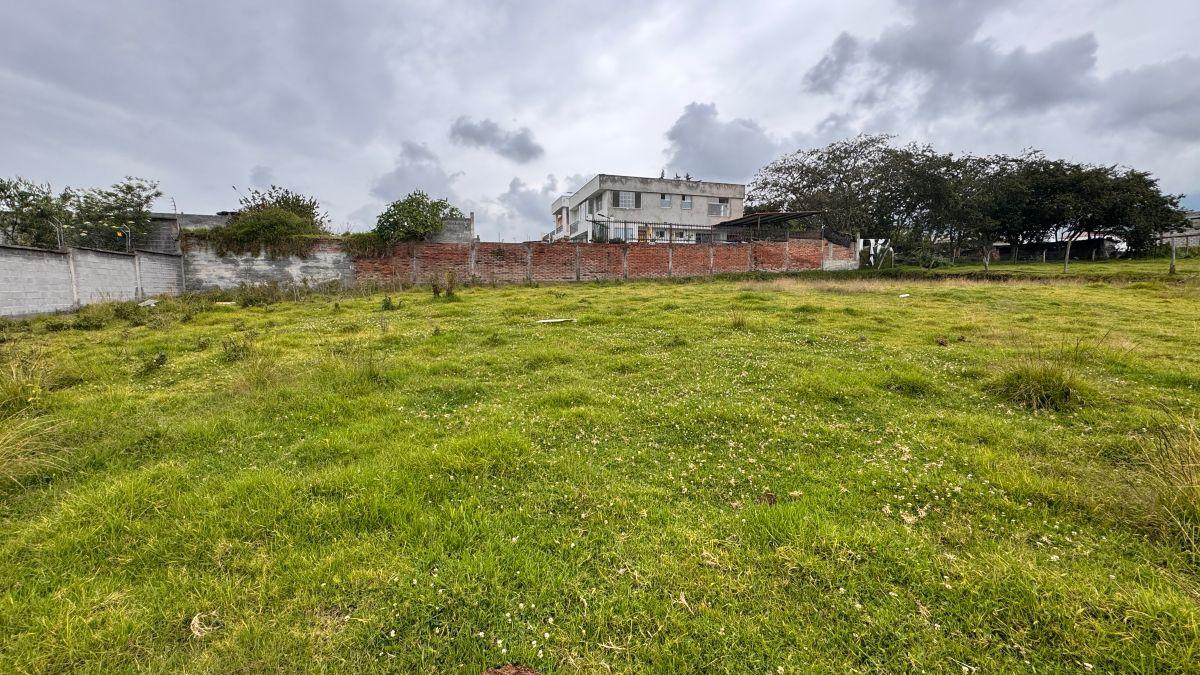 Venta Terreno 5000 m² Tababela, Oyambarillo — imagen 7