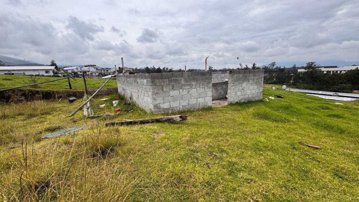 Venta Terreno 5000 m² Tababela, Oyambarillo — imagen 6