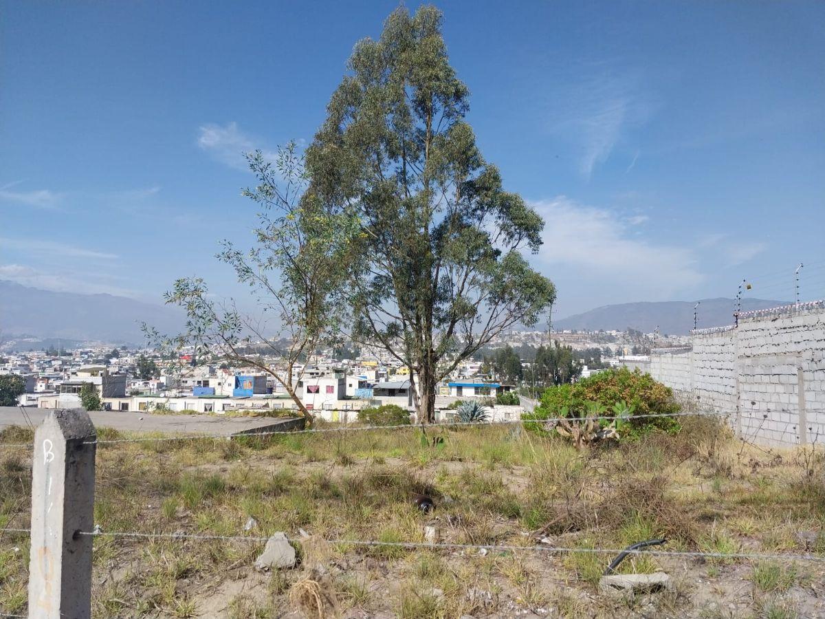 Vendo Hermoso Terreno Plano Sector de Zabala, Calle de Los Quindes, Escrituras Públicas, Servicios. Provincia de Pichincha — imagen 4