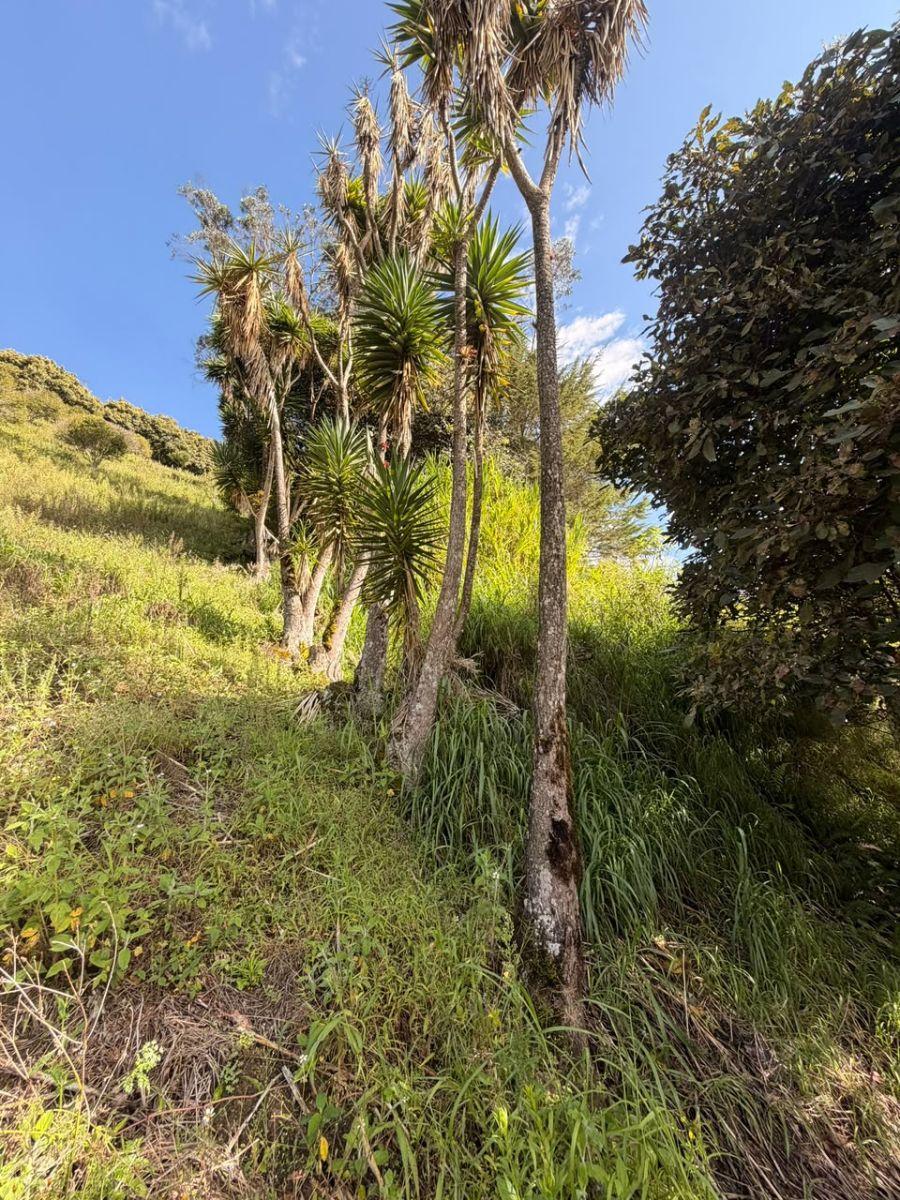 Terreno con Vista 360° a Baños de Agua Santa, Tungurahua — imagen 4