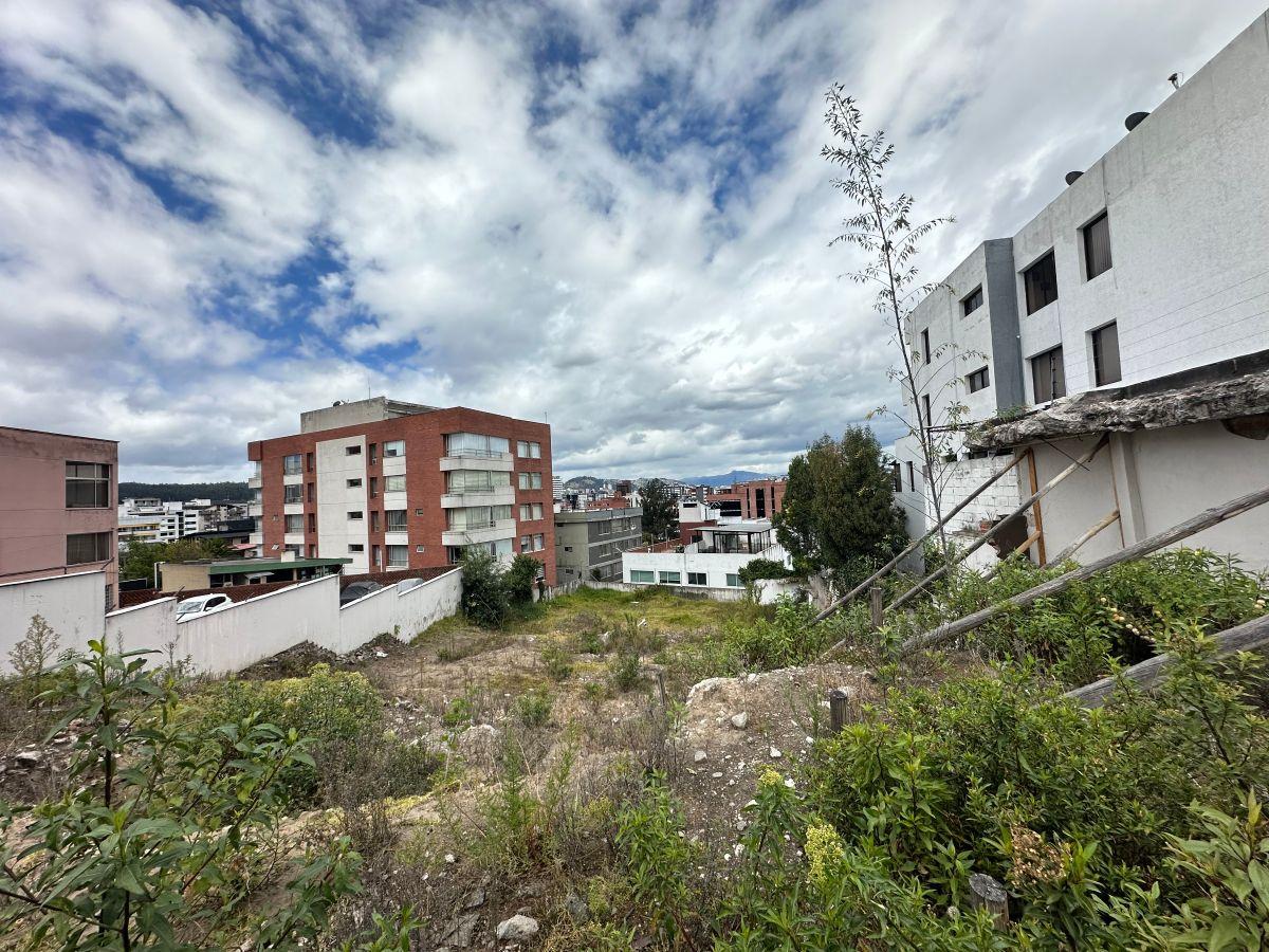 En Venta Único Terreno Cerca Av Brazil Para Proyecto Inmobiliario — imagen 4