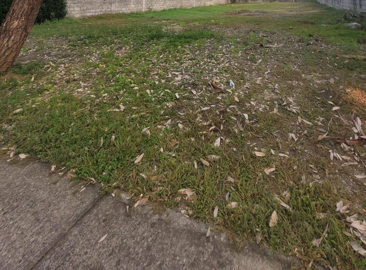 Hermoso Terreno Medianero Regular en Excelente Urbanización Terrasol, Guayas — imagen 7