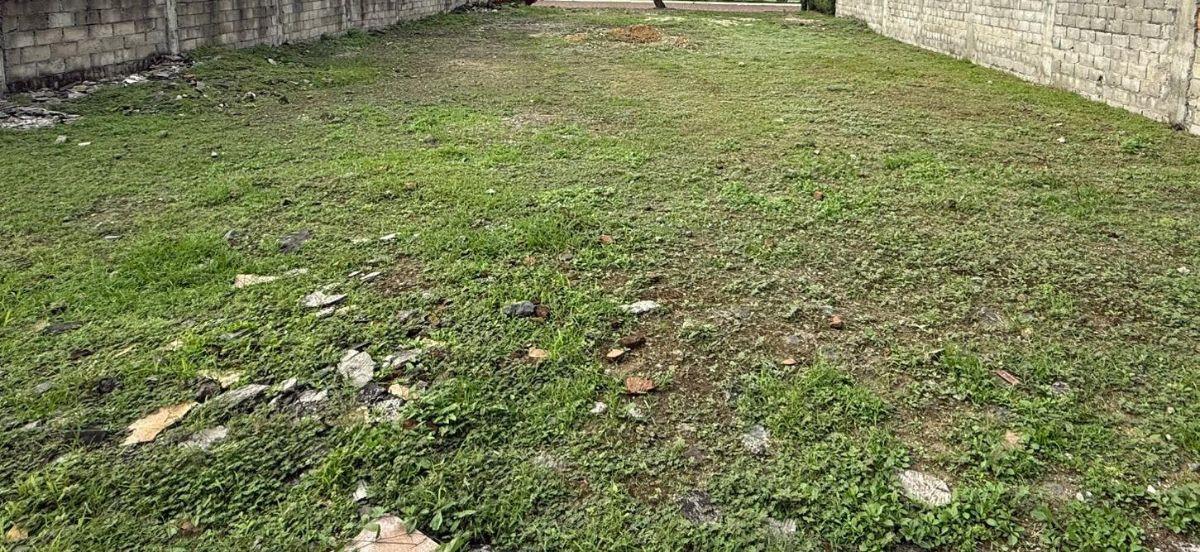 Hermoso Terreno Medianero Regular en Excelente Urbanización Terrasol, Guayas — imagen 5