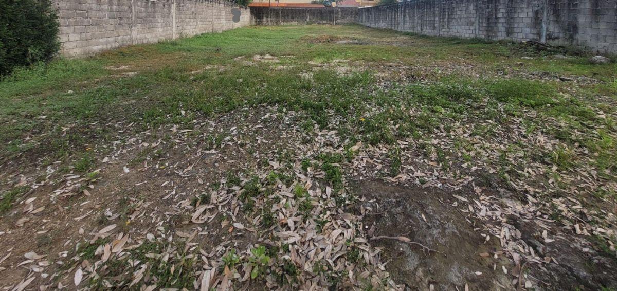 Hermoso Terreno Medianero Regular en Excelente Urbanización Terrasol, Guayas — imagen 4
