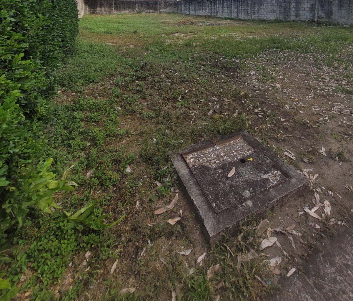 Hermoso Terreno Medianero Regular en Excelente Urbanización Terrasol, Guayas — imagen 3