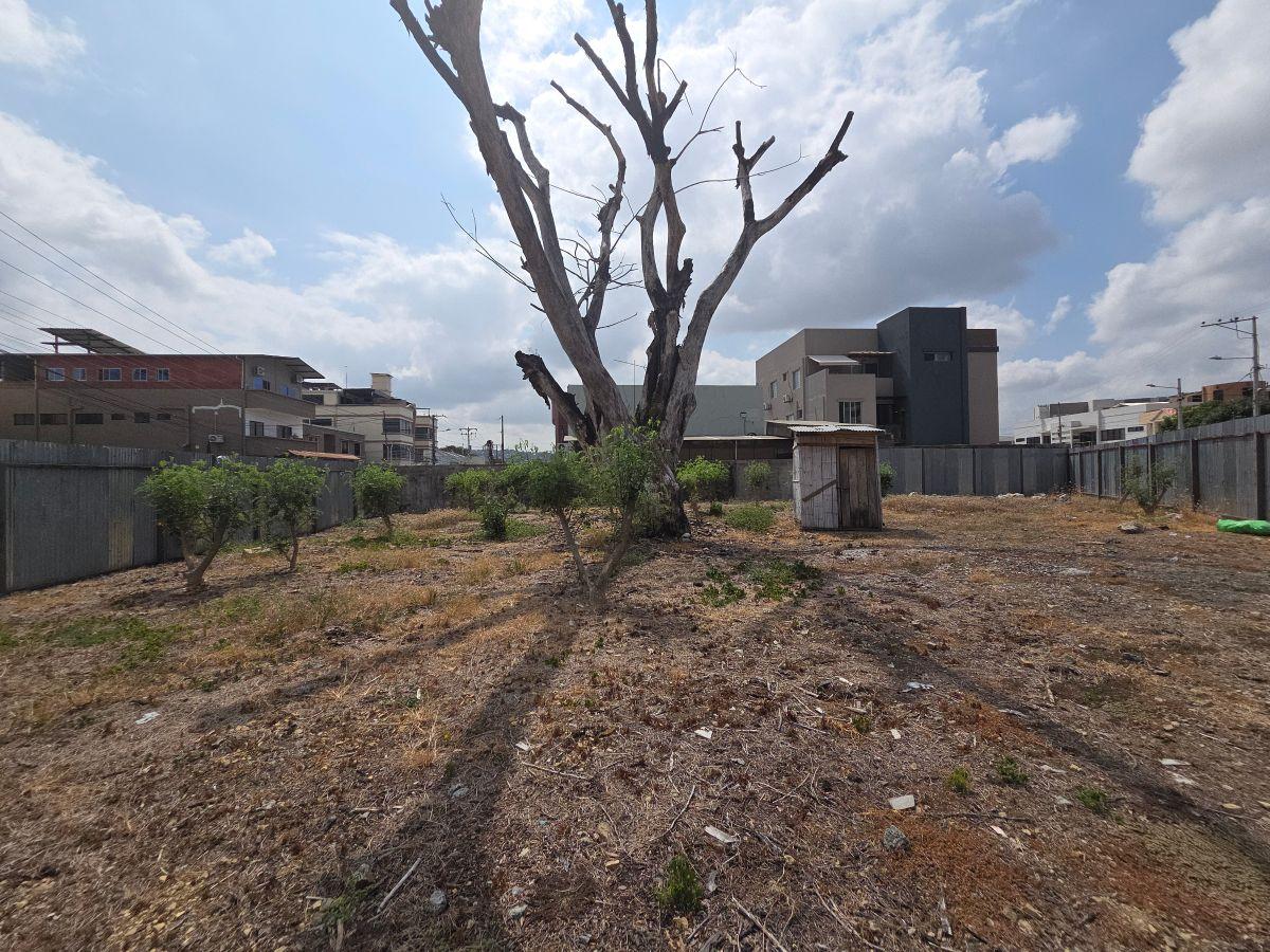 Santa Cecilia Terreno Multifamiliar Compactado, Esquinero con Tres Frentes, Ideal Para Condominio, Guayas — imagen 6