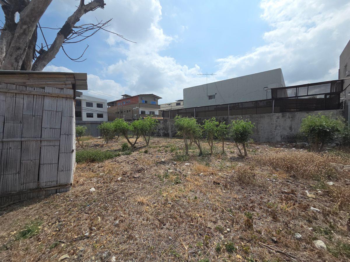 Santa Cecilia Terreno Multifamiliar Compactado, Esquinero con Tres Frentes, Ideal Para Condominio, Guayas — imagen 4
