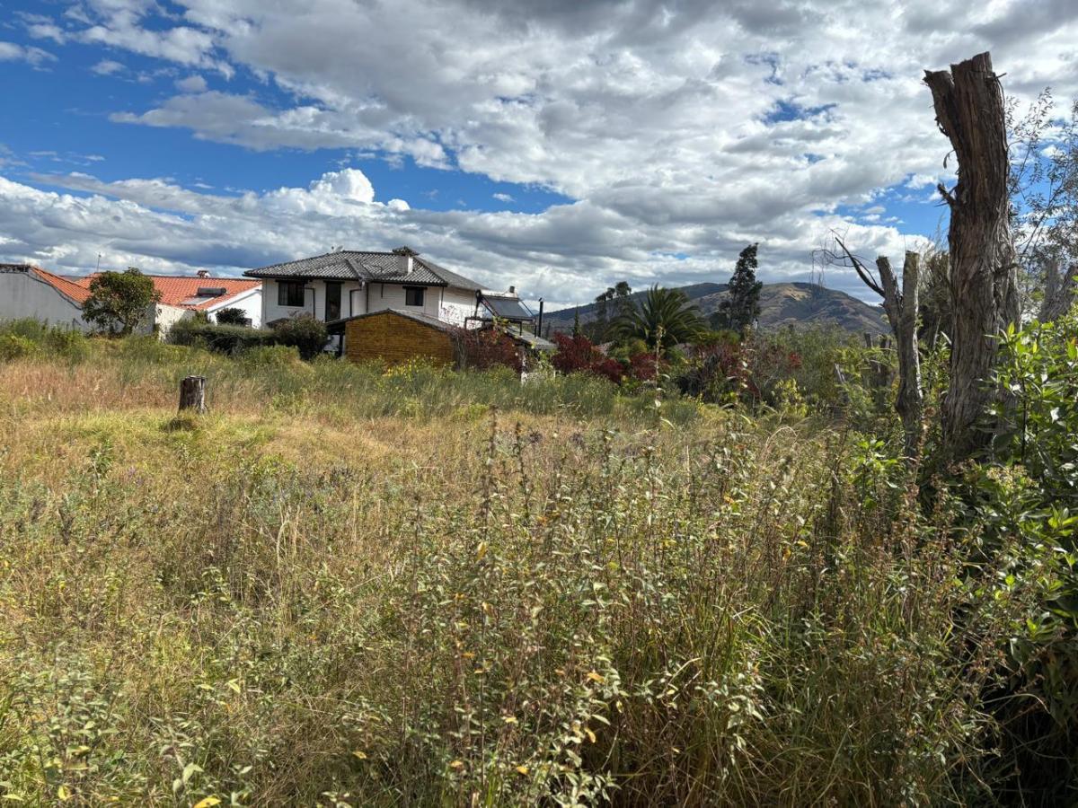 Terreno en Venta Pifo — imagen 10