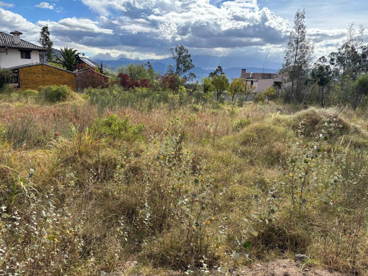 Terreno en Venta Pifo — imagen 9