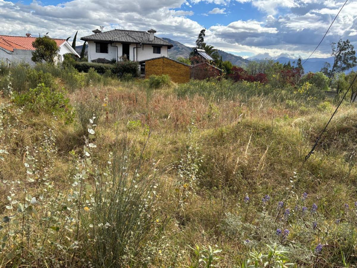 Terreno en Venta Pifo — imagen 7