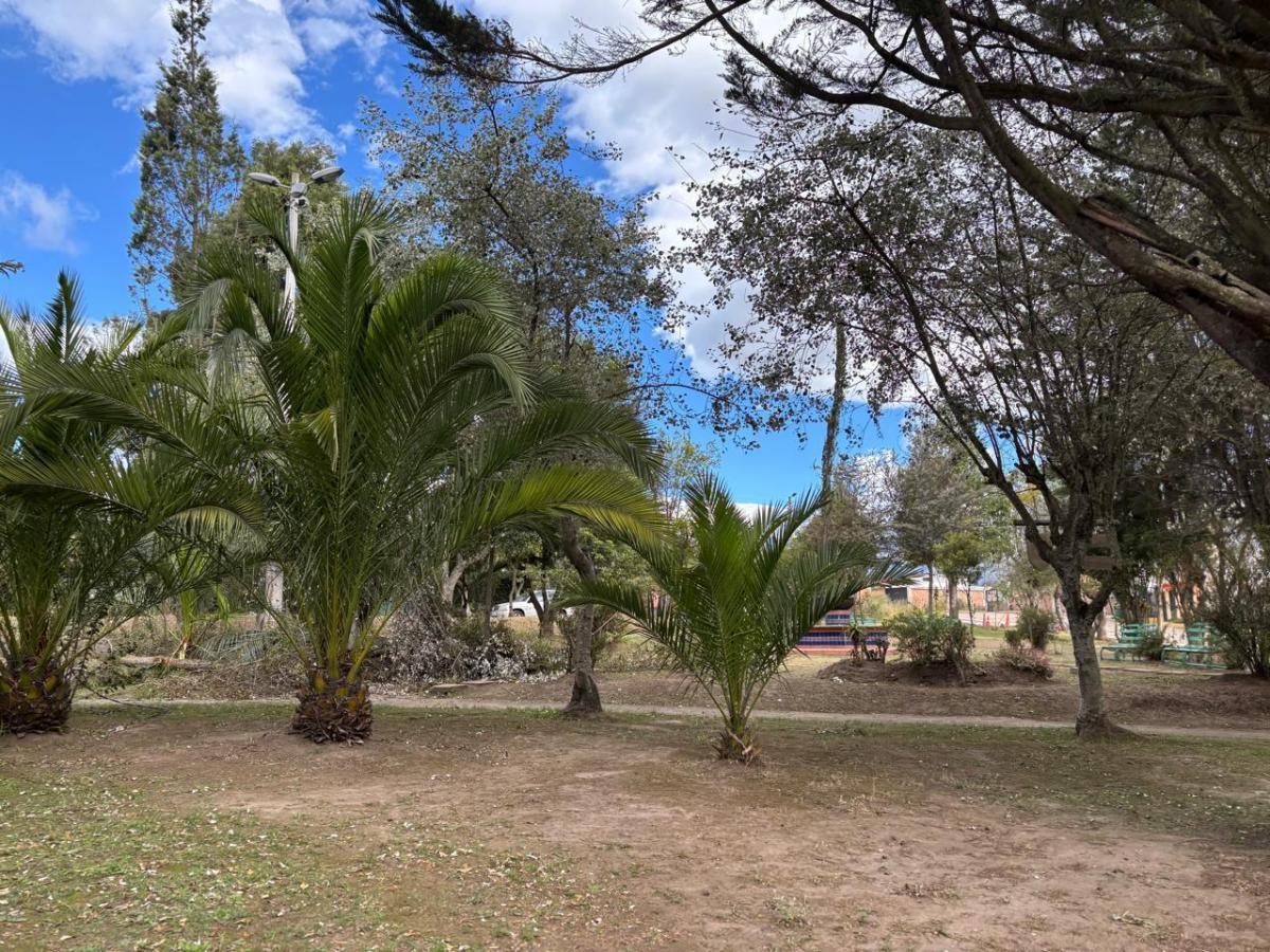 Terreno en Venta Pifo — imagen 4