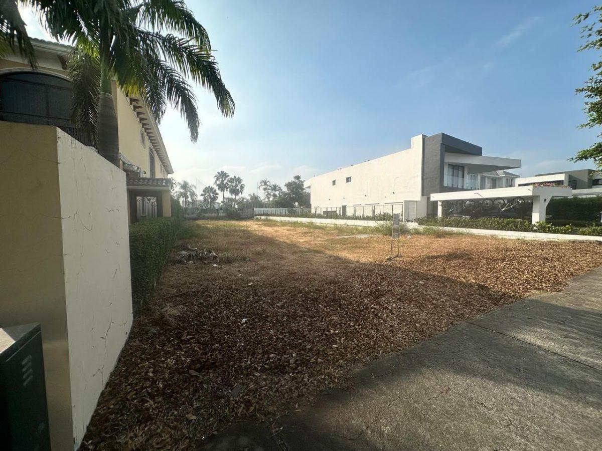 Venta de Terreno Via Samborondón/isla Mocolí. Guayas — imagen 10