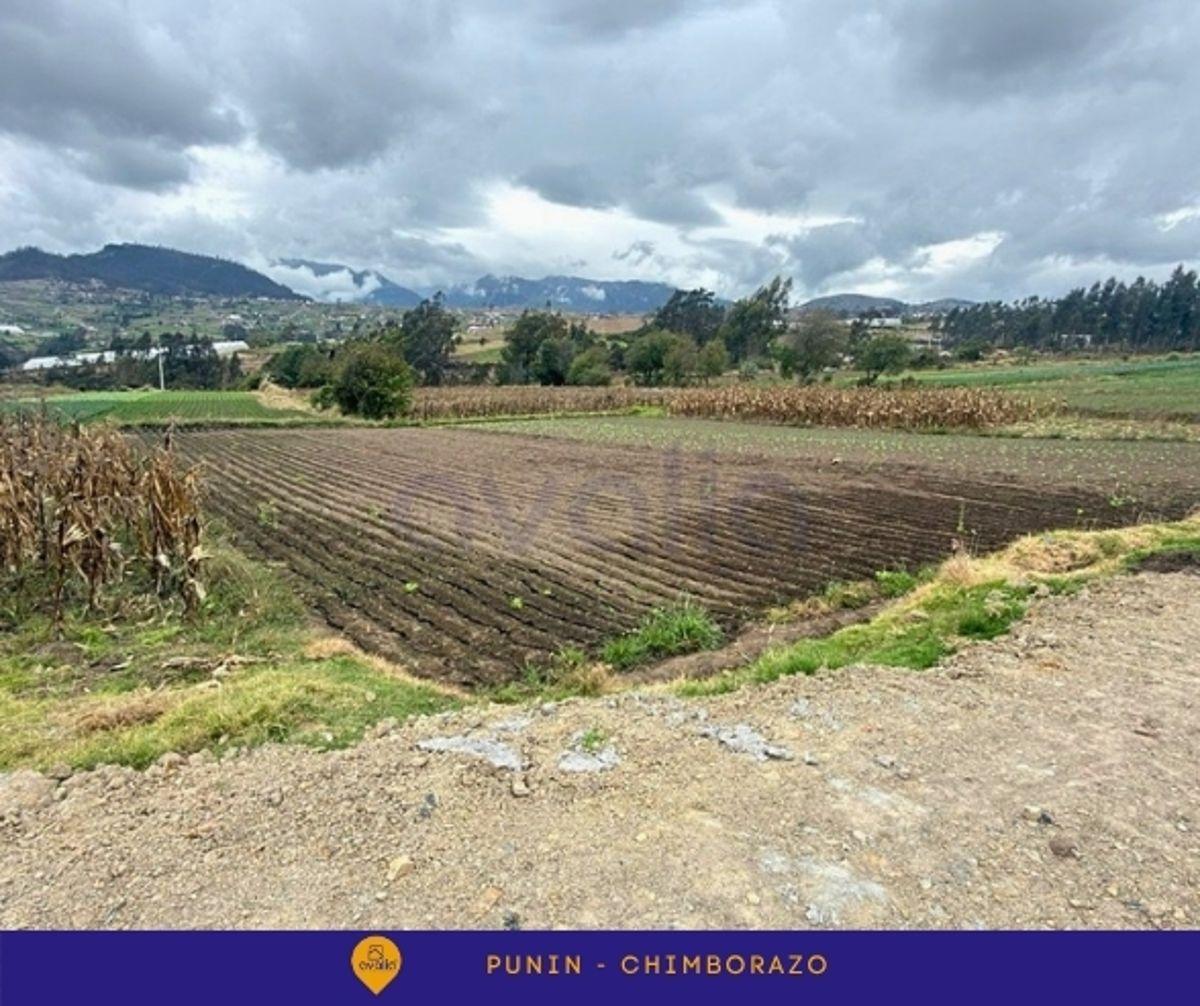 Venta de Terreno en Punin, Riobamba, Via a Macas, Chimborazo — imagen 10