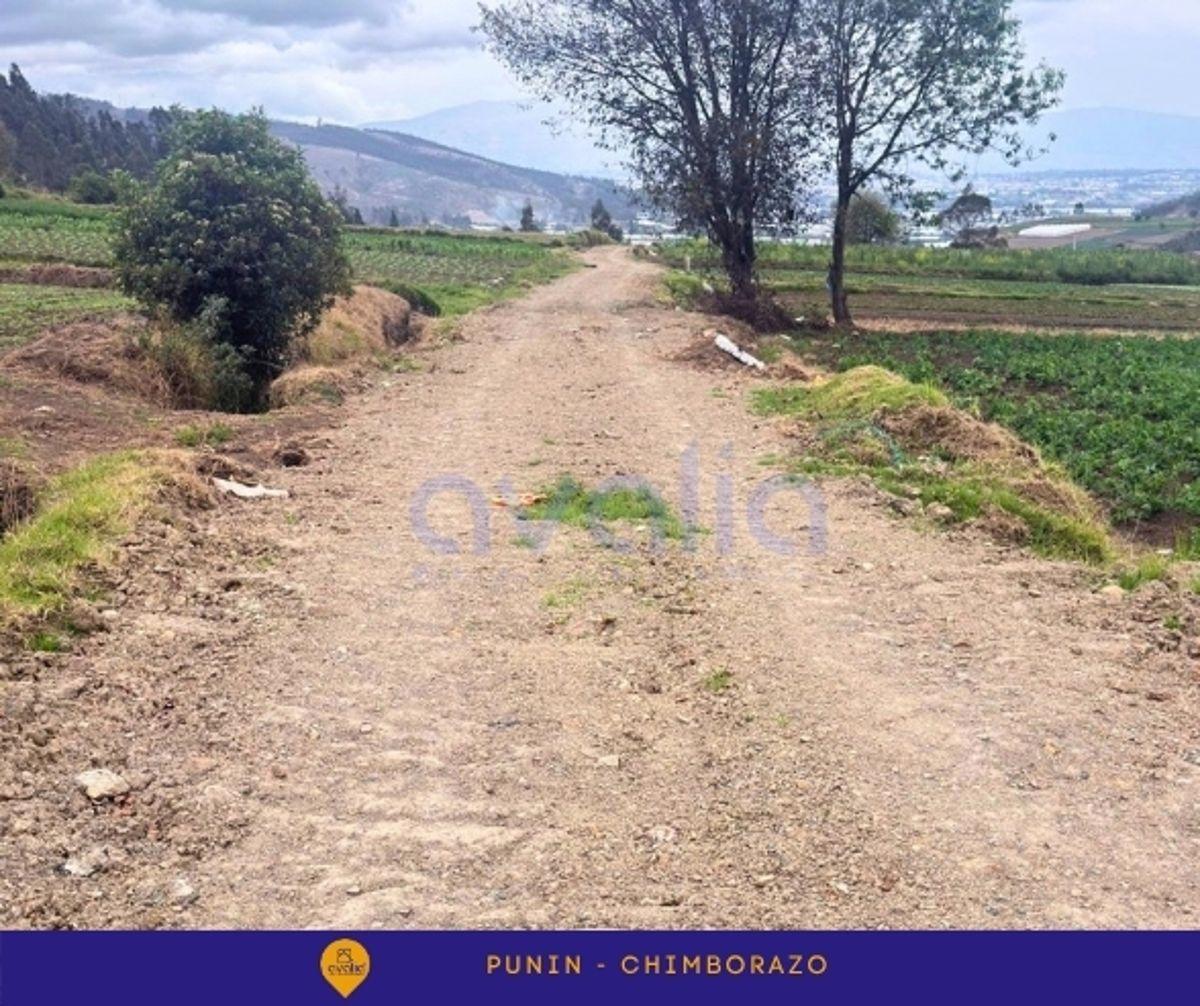 Venta de Terreno en Punin, Riobamba, Via a Macas, Chimborazo — imagen 8