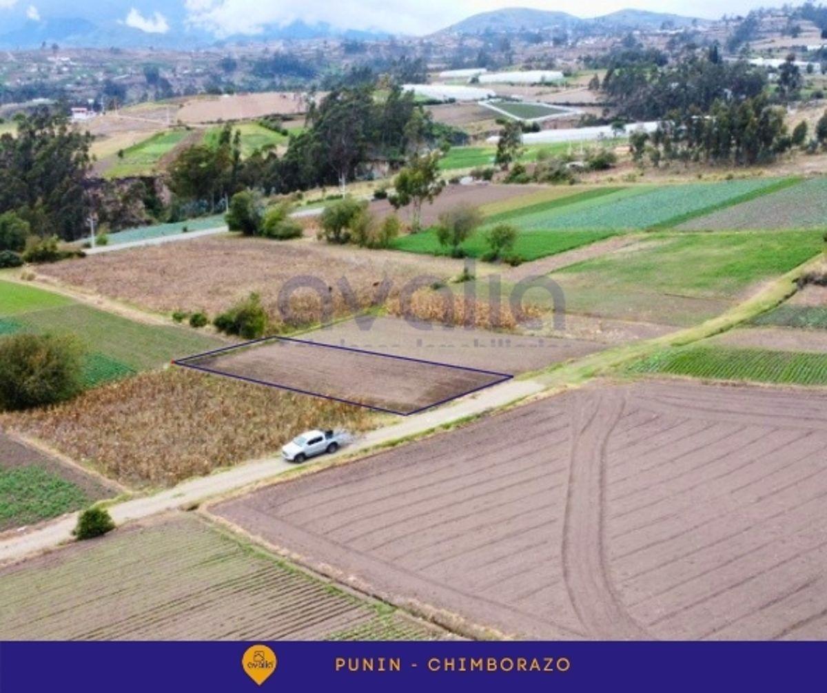 Venta de Terreno en Punin, Riobamba, Via a Macas, Chimborazo — imagen 6