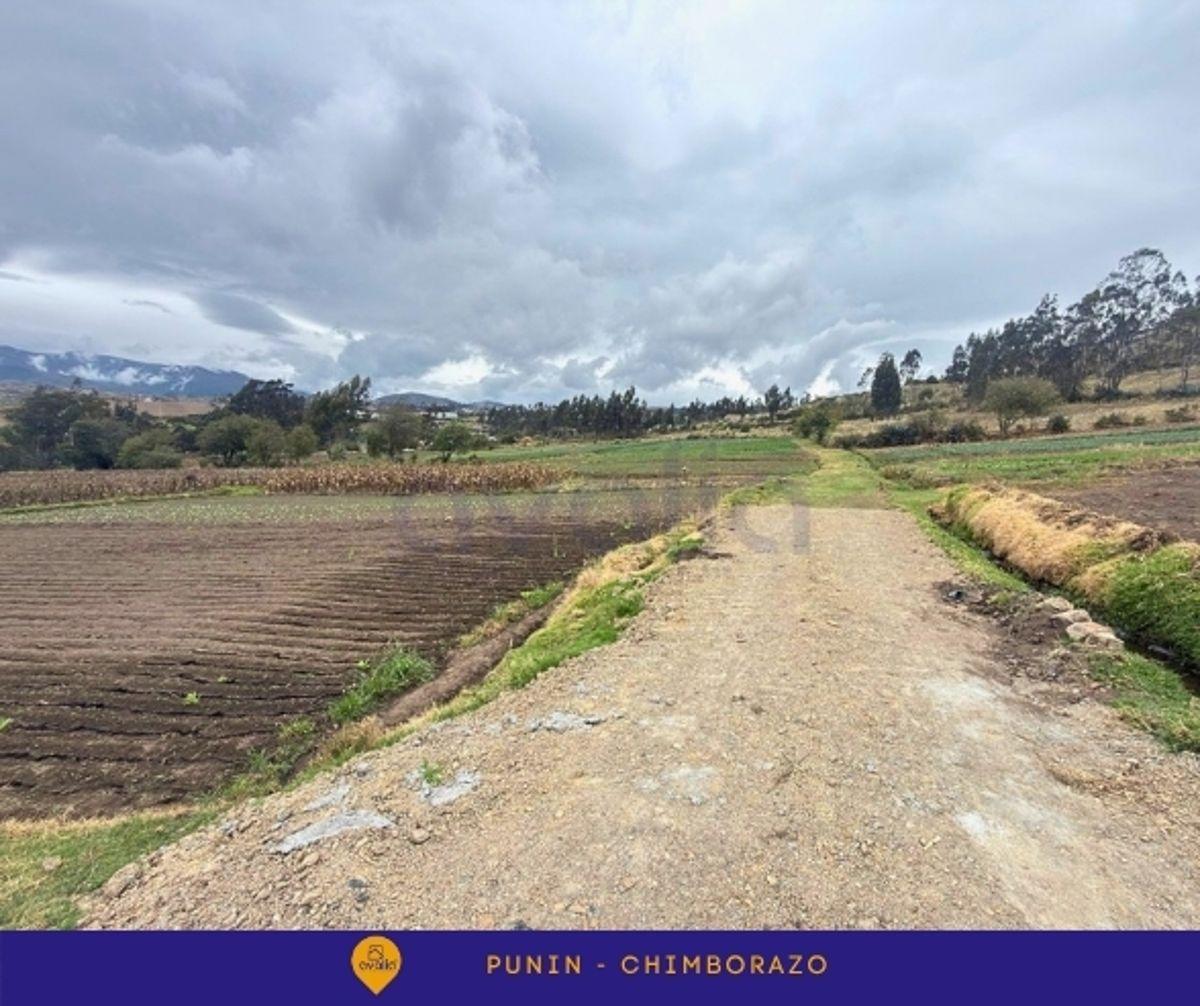 Venta de Terreno en Punin, Riobamba, Via a Macas, Chimborazo — imagen 4