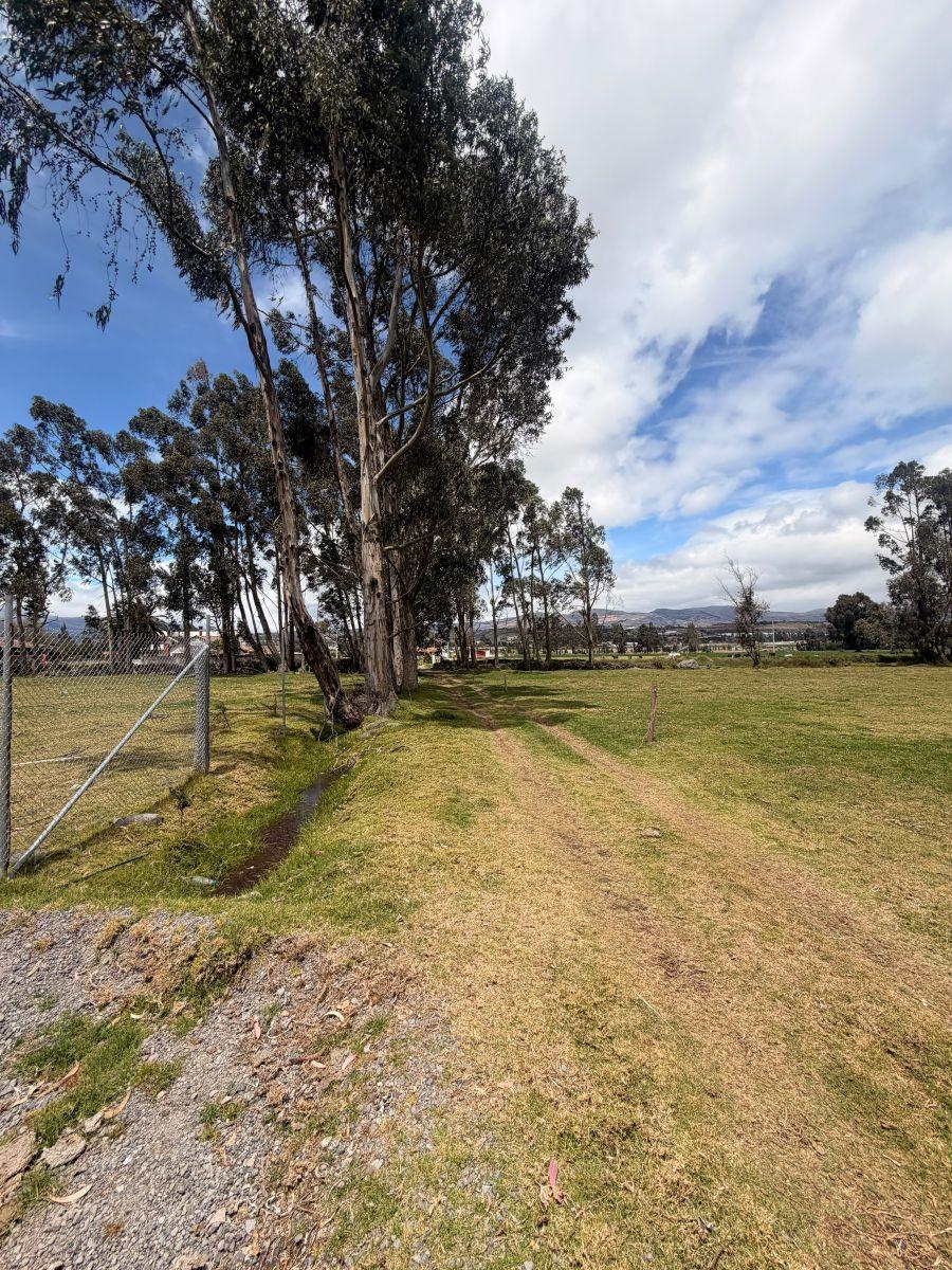Terreno de 59000 m² en Venta en El Norte de Latacunga, Cotopaxi — imagen 7
