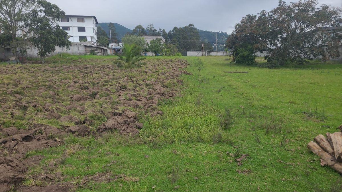 ¡Inversionistas! Terreno de 9.250,55 m² en La Cerámica, Ideal Para Desarrollo y Alta Plusvalía. Provincia de Pichincha — imagen 7