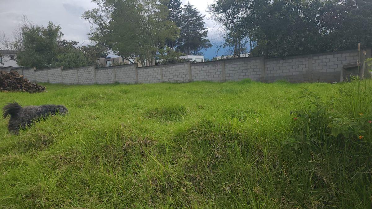 ¡Inversionistas! Terreno de 9.250,55 m² en La Cerámica, Ideal Para Desarrollo y Alta Plusvalía. Provincia de Pichincha — imagen 6