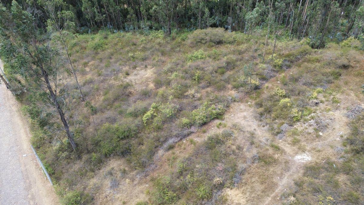 Terreno en Venta en Pifo | 6.352 m² Dentro de Urbanización — imagen 8