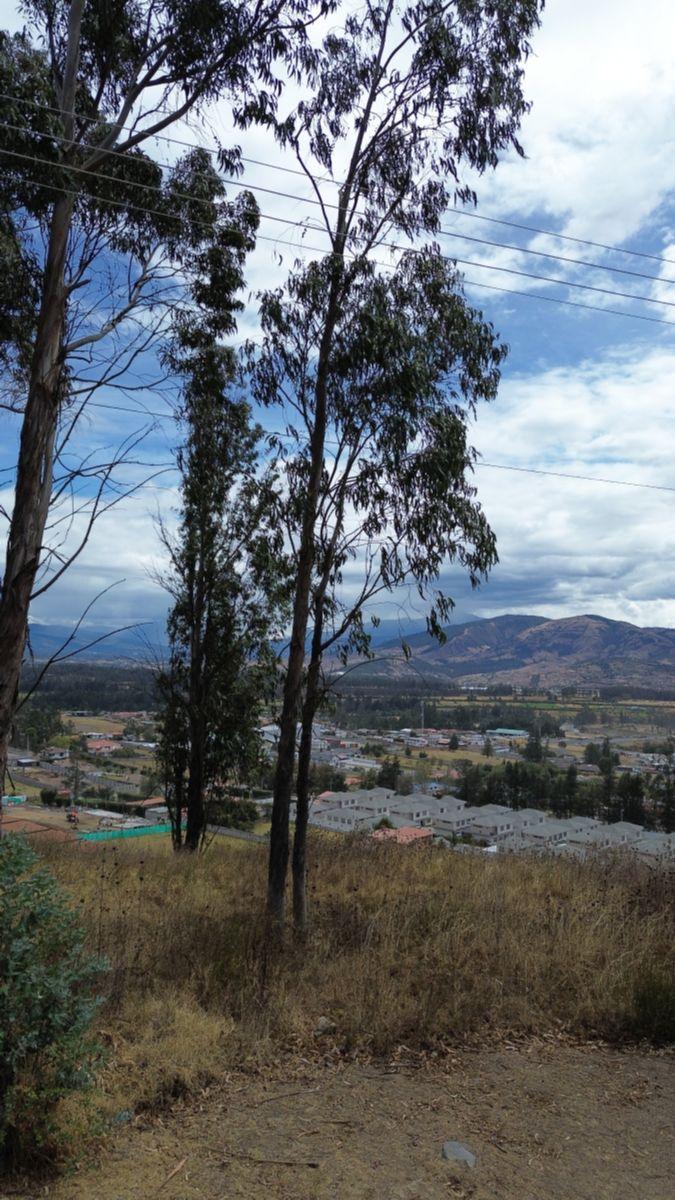 Terreno en Venta en Pifo | 6.352 m² Dentro de Urbanización — imagen 3