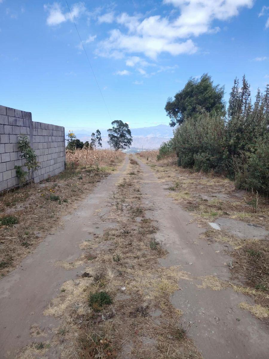 Se Vende Terreno 1000 m² Malchingui — imagen 10