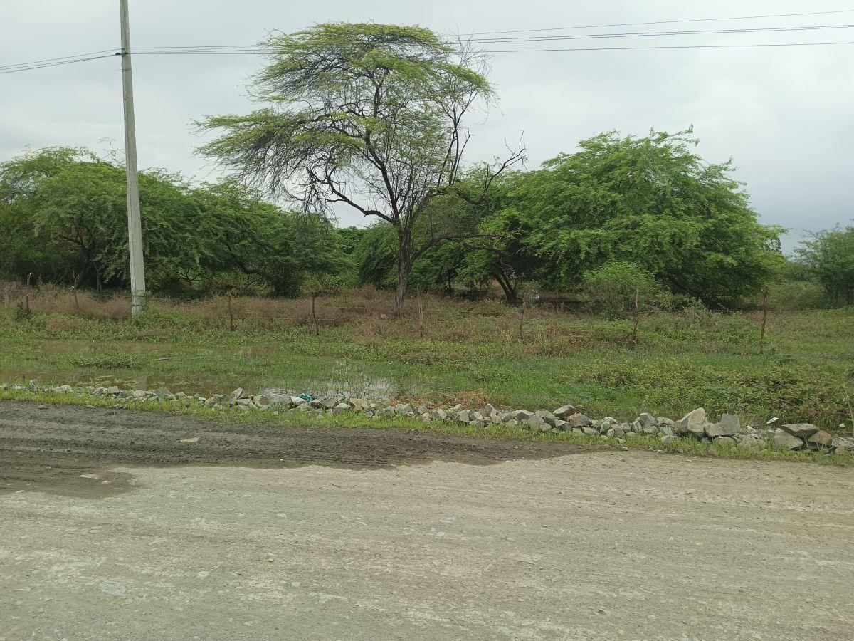 Venta de Terrenos en Peñon del Rio Duran, Guayas — imagen 5