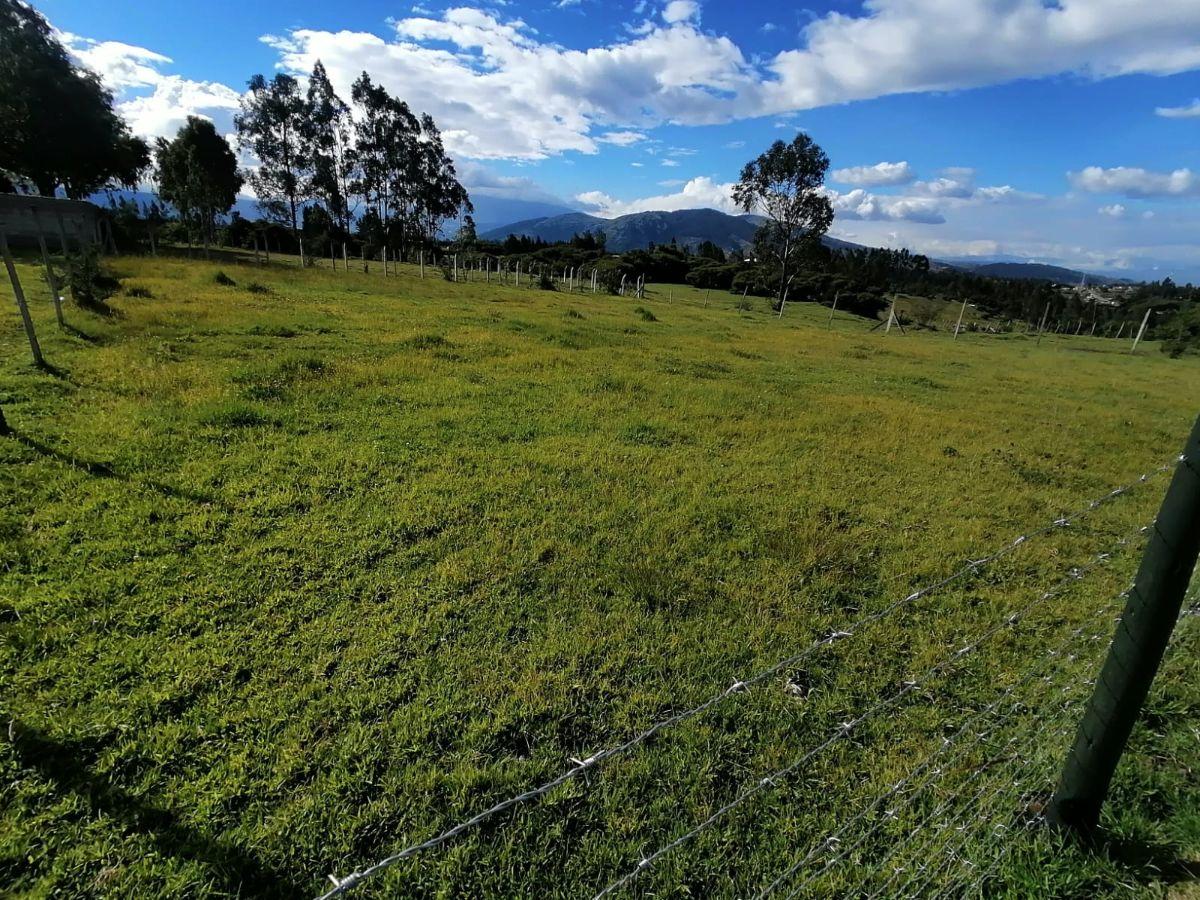 Terreno de 1020 m² en Venta Lotizacion La Carolina Sect Pintag — imagen 8