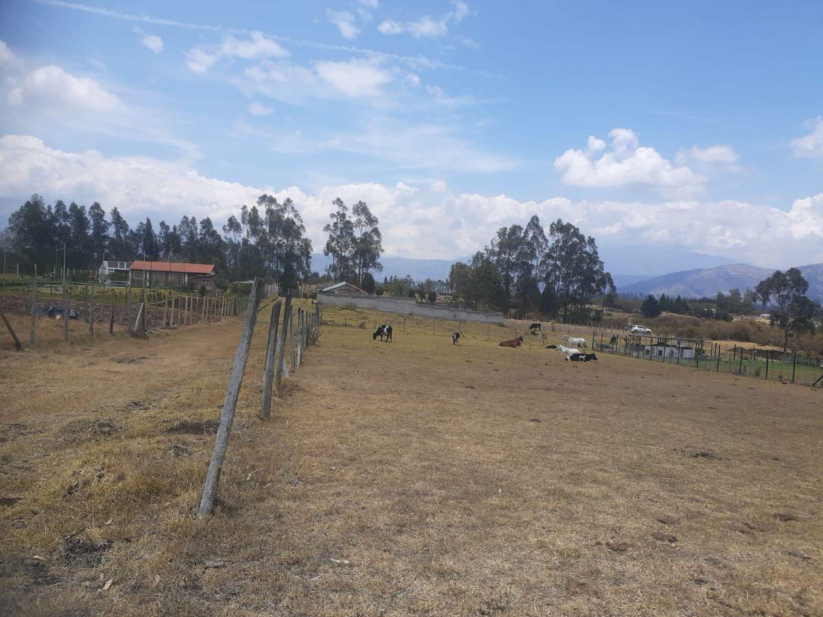 Terreno de 1020 m² en Venta Lotizacion La Carolina Sect Pintag — imagen 5