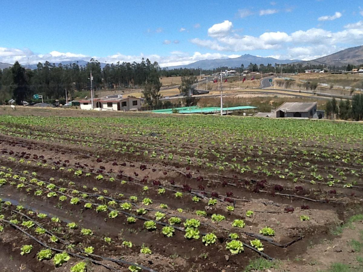 Terreno Plano 1934 m Tababela — imagen 6