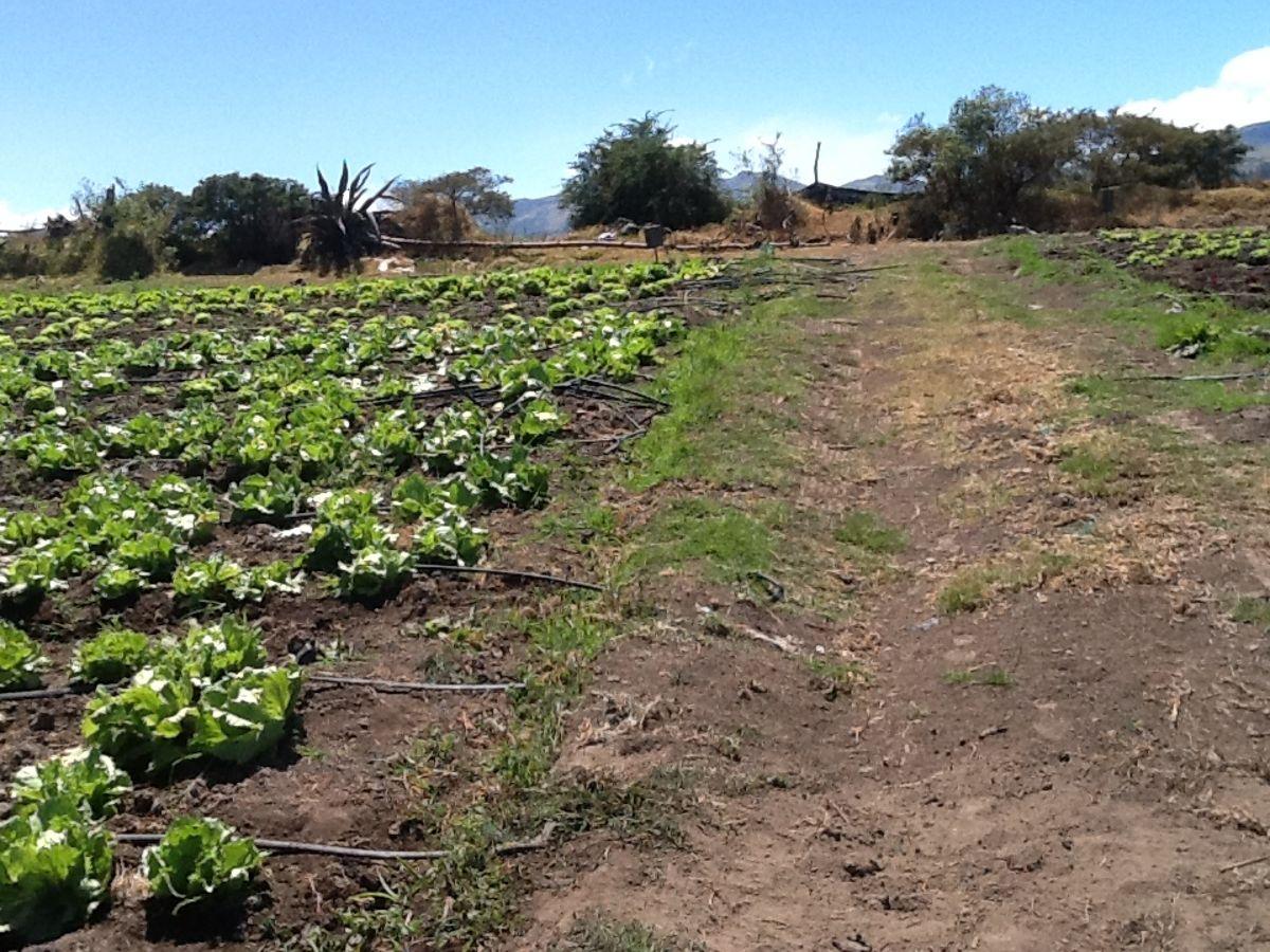 Terreno Plano 1934 m Tababela — imagen 5