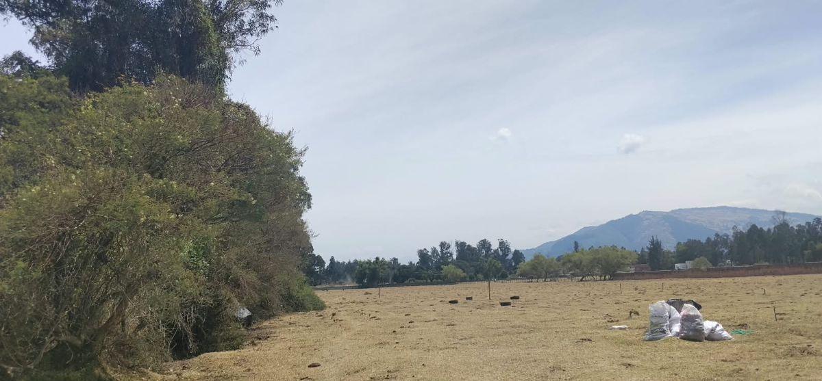 Calle Panzaleo Vendo Terreno 7500 m², Cos 50%, Cos T. 100%, 2 Pisos, con Frente a La Av Panzaleo. Provincia de Pichincha — imagen 7