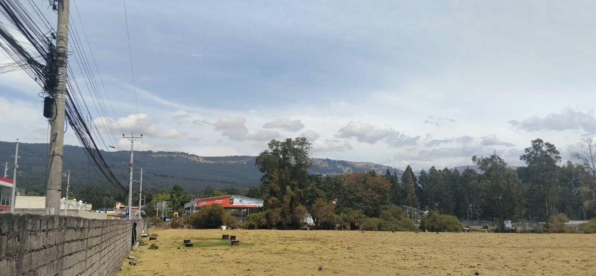 Calle Panzaleo Vendo Terreno 7500 m², Cos 50%, Cos T. 100%, 2 Pisos, con Frente a La Av Panzaleo. Provincia de Pichincha — imagen 5