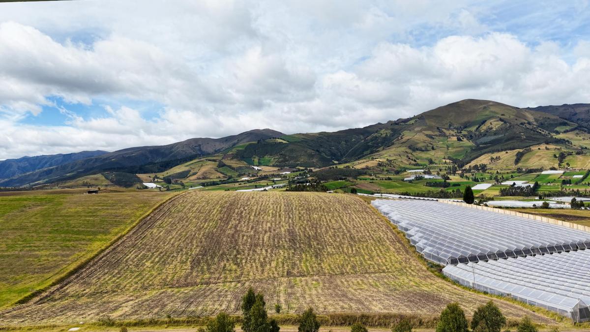 Se Vende Terreno de 5,05 Hectáreas en Cayambe – Olmedo / Pesillo — imagen 6