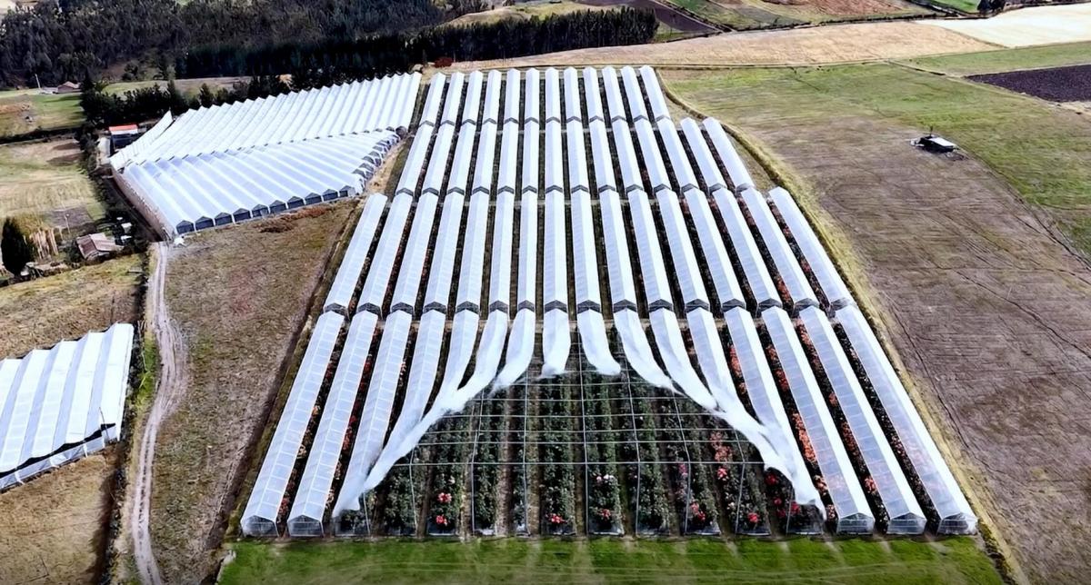 Se Vende Terreno de 5,05 Hectáreas en Cayambe – Olmedo / Pesillo — imagen 4