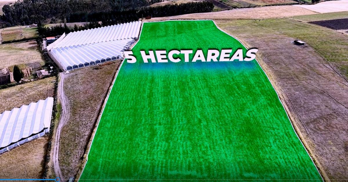 Se Vende Terreno de 5,05 Hectáreas en Cayambe – Olmedo / Pesillo — imagen 3