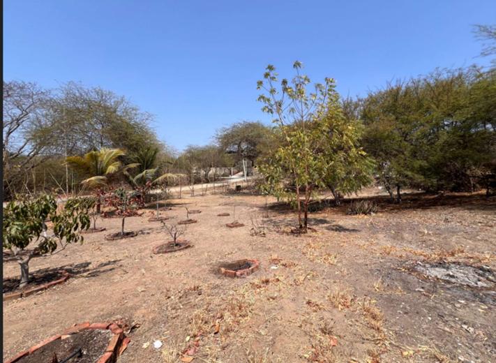 Venta de Terreno en Playas Carabelas de Colón, Guayas — imagen 10