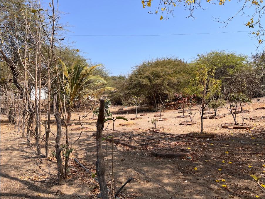 Venta de Terreno en Playas Carabelas de Colón, Guayas — imagen 6