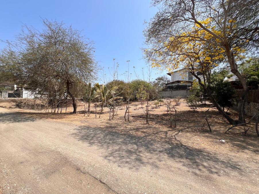 Venta de Terreno en Playas Carabelas de Colón, Guayas — imagen 4