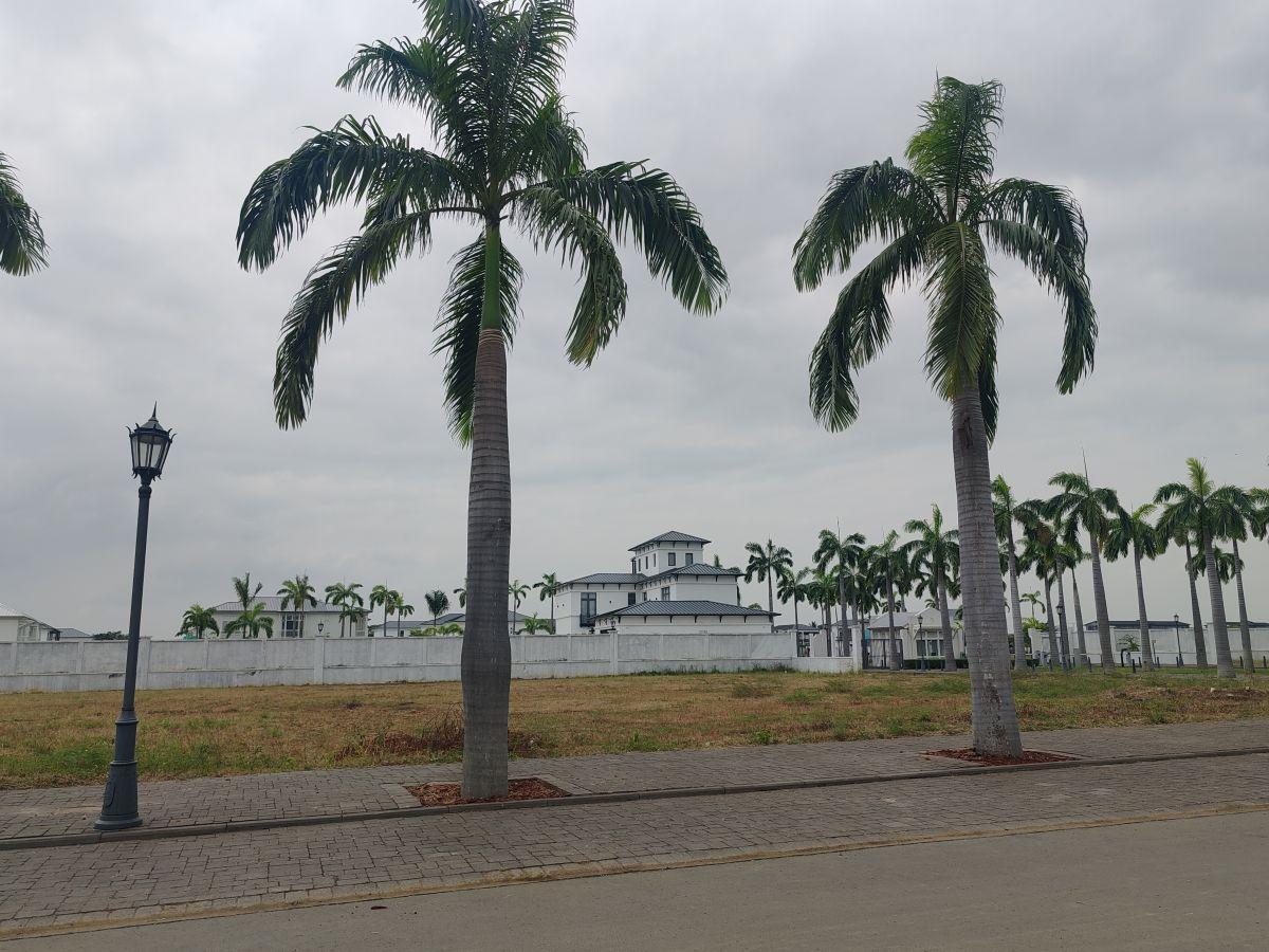 Terreno Comercial en Venta de 3.740 m² en Vía a Samborondón Km 10, Nuevo Samborondon, Guayas — imagen 5