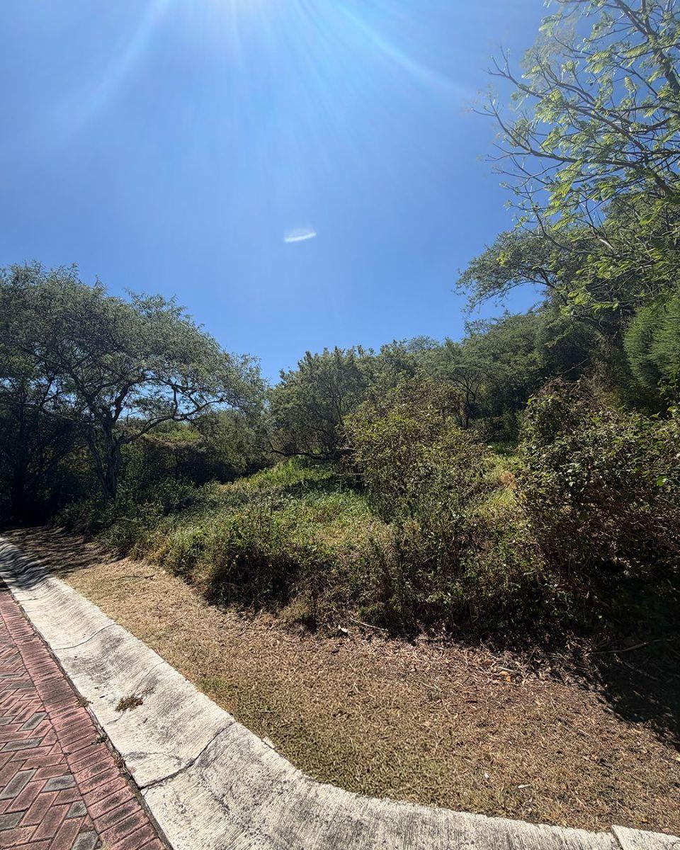 ¡Oportunidad Única en Urbanización La Viña! Hermoso Terreno de 1.376 m² Para Vivienda Unifamiliar — imagen 8