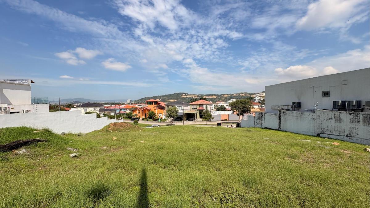 El Condado de Vicolinci, La Aurora - Daule - Guayas, Guayas — imagen 5