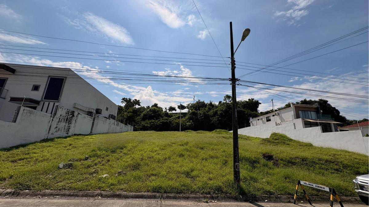 El Condado de Vicolinci, La Aurora - Daule - Guayas, Guayas — imagen 4
