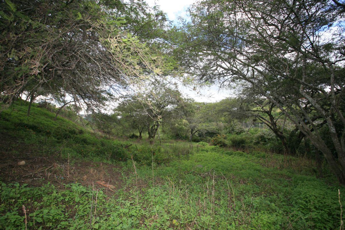Vive en La Viña Alta – Terreno de 1.000 m² en Urbanización Privada — imagen 8