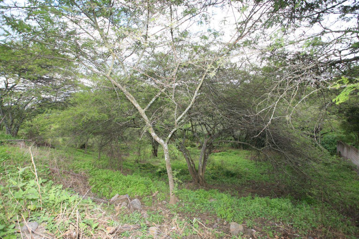 Vive en La Viña Alta – Terreno de 1.000 m² en Urbanización Privada — imagen 5